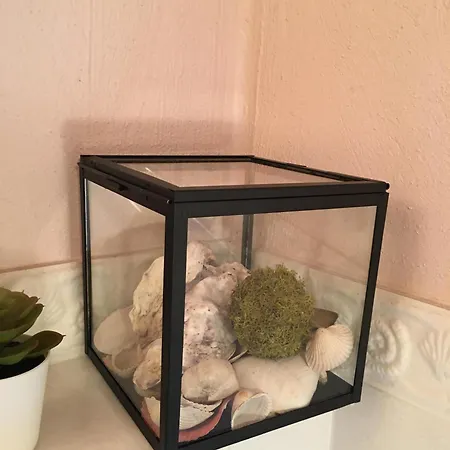 Haubarg Alte Strandvogtei アパート *