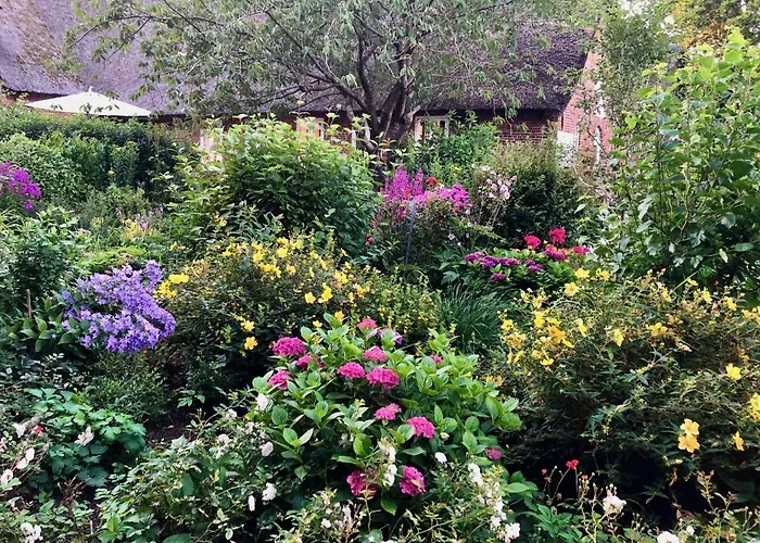 Appartement Haubarg Alte Strandvogtei *