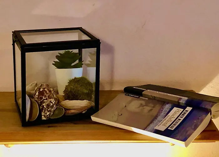 Haubarg Alte Strandvogtei * Westerhever