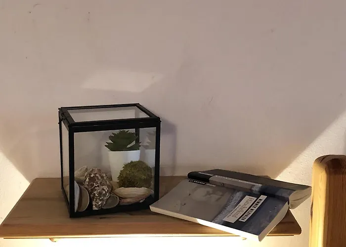 Haubarg Alte Strandvogtei Appartement Westerhever