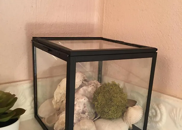 Appartement Haubarg Alte Strandvogtei *